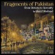 Fragments of Pakistan From street to serenity by Hanif Shehzad